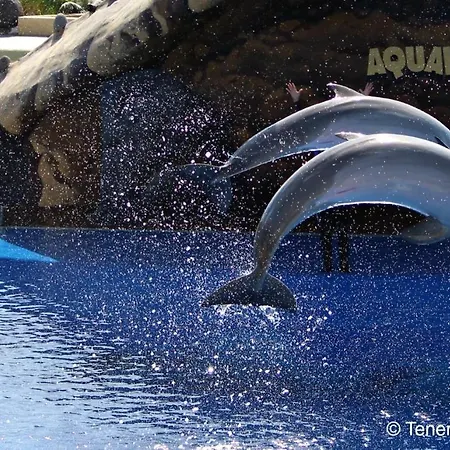 شقة Mare Verde Sea View أذيخي